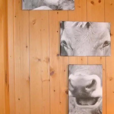 Huusli By Interhome Appartement