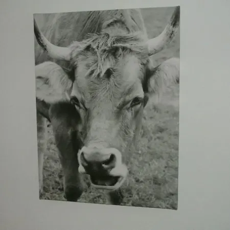 Huusli By Interhome *