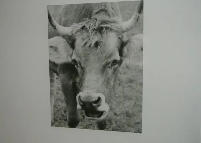 Huusli By Interhome *